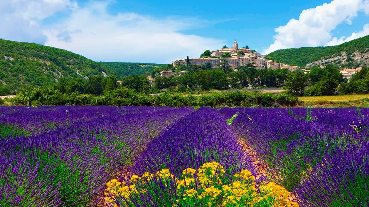 provence feat