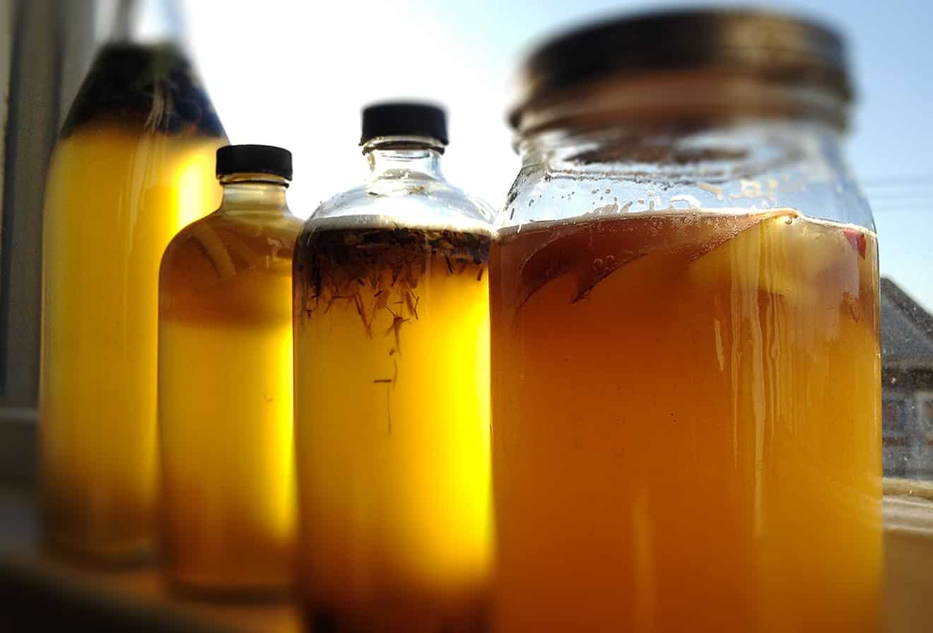 kombucha feat