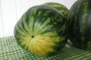 cum alegi pepenele verde
