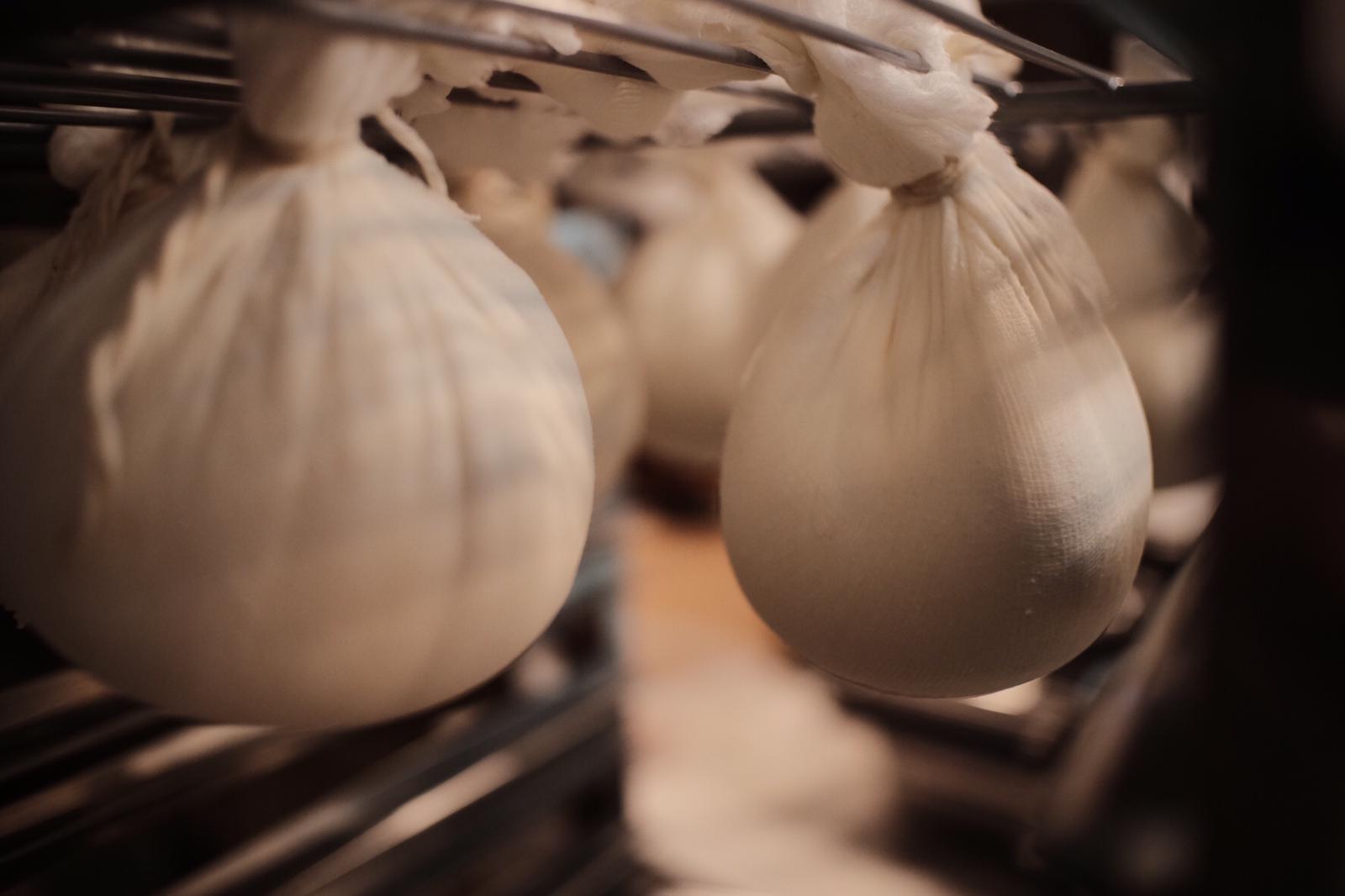 maize-meniu-nou-6