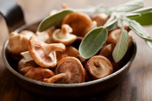 Ciuperci Shiitake