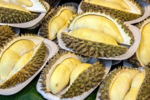 durian felii