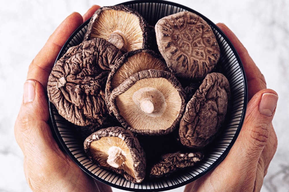 umami 1