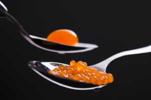 gastronomie moleculara