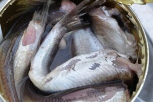 Surströmming