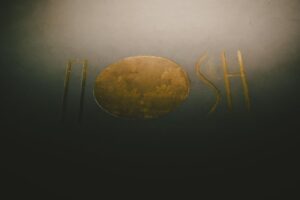 logo mosh