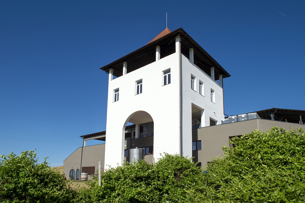 Villa Vinea