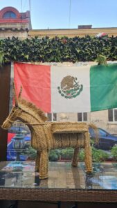 taqueria el torito (8)